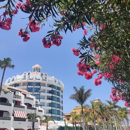 Seafront New Modern *